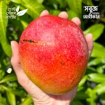 Haden Mango